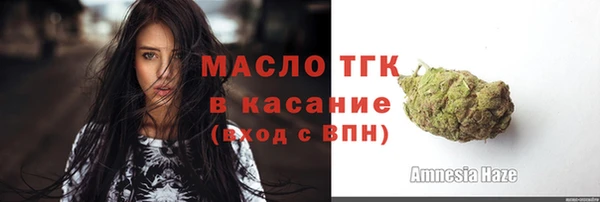 гашик Мегион