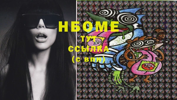 PSILOCYBIN Медвежьегорск